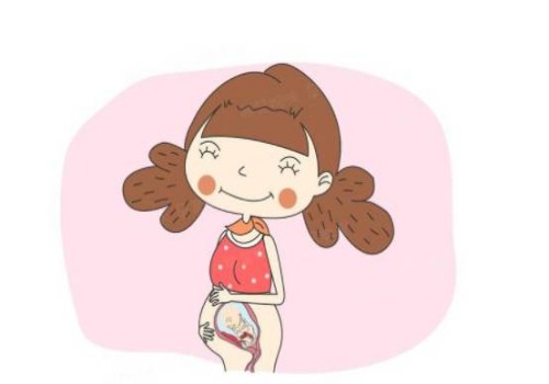 寧波正規助孕機構：想知道寶寶性別？NT0.07胎心160輕松辨別男女